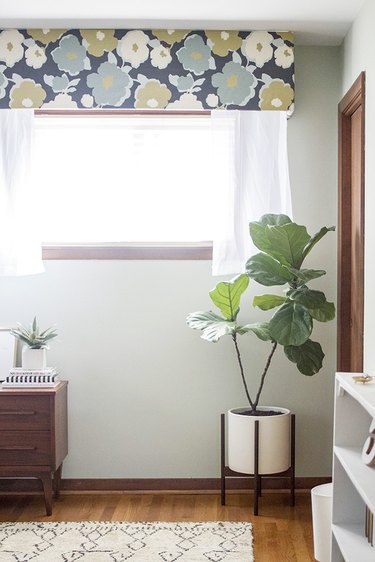 fiddle leaf fig tree